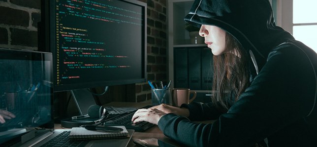 Жените во хакерската култура: родови улоги и предизвици во  традиционално машка заедница 